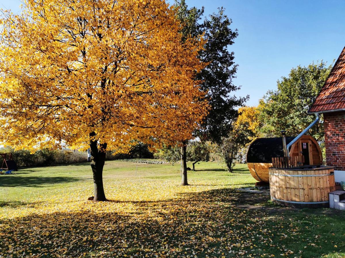 Agroturystyka Ginkgo Sulislaw  Luaran gambar