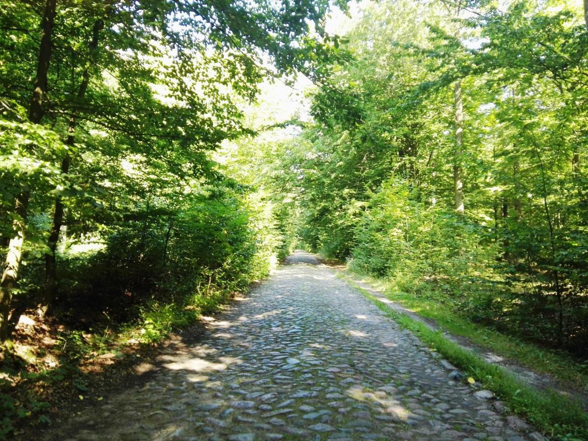 Agroturystyka Ginkgo Sulislaw  Luaran gambar